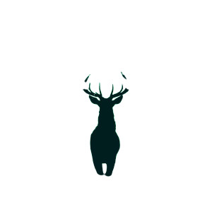 Lone Forest Buck Vinyl Car Decal Sticker – Waterproof & UV-Resistant 8"