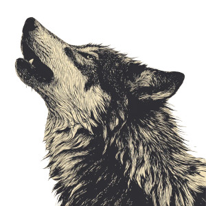 Bold Wolf Illustration Vinyl Car Decal Sticker – Waterproof & UV-Resistant 8"