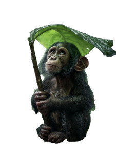 Baby Chimpanzee Umbrella Vinyl Car Decal Sticker – Waterproof & UV-Resistant 8"