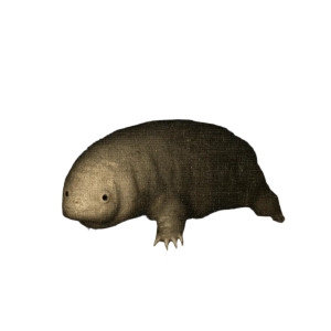 Goya'S Tardigrade Vinyl Car Decal Sticker – Waterproof & UV-Resistant 8"