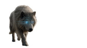 Giant Himalayan Dog Vinyl Car Decal Sticker – Waterproof & UV-Resistant 8"