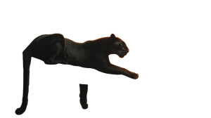 Black Panther Moon Vinyl Car Decal Sticker – Waterproof & UV-Resistant 8"