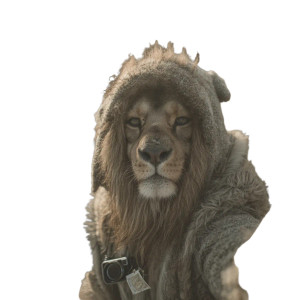 Lion In Penguin Outfit Vinyl Car Decal Sticker – Waterproof & UV-Resistant 8"