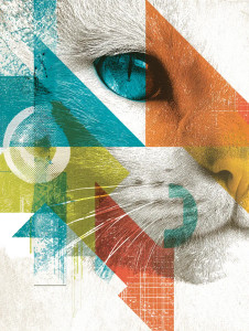 Geometric Cat Face Vinyl Car Decal Sticker – Waterproof & UV-Resistant 8"