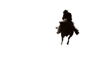 Bucking Broncho Vinyl Car Decal Sticker – Waterproof & UV-Resistant 8"
