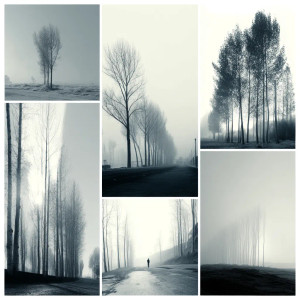 Trees Vinyl Car Decal Sticker – Waterproof & UV-Resistant 8"