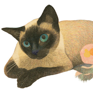 Whimsical Siamese Cat Vinyl Car Decal Sticker – Waterproof & UV-Resistant 8" Whimsical Siamese Cat Vinyl Car Decal Sticker – Waterproof & UV-Resistant 8"