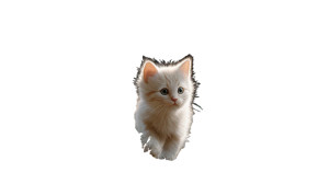 Fluffy White Kitten V3 Vinyl Car Decal Sticker – Waterproof & UV-Resistant 8"