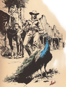 Cowboy And Peacock Vinyl Car Decal Sticker – Waterproof & UV-Resistant 8"