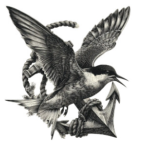 Tern In Flight V2 Vinyl Car Decal Sticker – Waterproof & UV-Resistant 8"