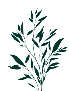 Herbal Plant Silhouette Vinyl Car Decal Sticker – Waterproof & UV-Resistant 8"