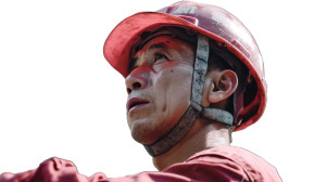 Electrician At Work V2 Vinyl Car Decal Sticker – Waterproof & UV-Resistant 8"