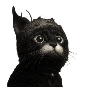 Cat V79 Vinyl Car Decal Sticker – Waterproof & UV-Resistant 8"