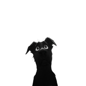 Pixar Style Dog V18 Vinyl Car Decal Sticker – Waterproof & UV-Resistant 8" Pixar Style Dog V18 Vinyl Car Decal Sticker – Waterproof & UV-Resistant 8"