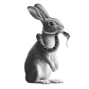 Deceptive Rabbit Tattoo Vinyl Car Decal Sticker – Waterproof & UV-Resistant 8"
