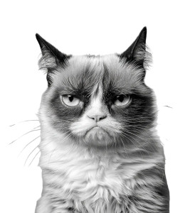 Grumpy Cat V3 Vinyl Car Decal Sticker – Waterproof & UV-Resistant 8"