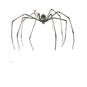 Giant Spiders Attack Vinyl Car Decal Sticker – Waterproof & UV-Resistant 8"