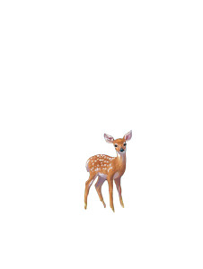 Baby Deer Spring Vinyl Car Decal Sticker – Waterproof & UV-Resistant 8"