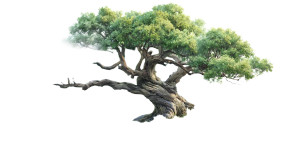 Enchanted Disney Tree Vinyl Car Decal Sticker – Waterproof & UV-Resistant 8"