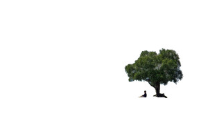 Healing Grassland Scene Vinyl Car Decal Sticker – Waterproof & UV-Resistant 8"