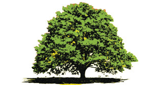 Burning Green Tree Vinyl Car Decal Sticker – Waterproof & UV-Resistant 8"
