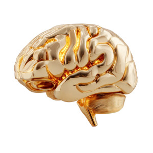 Golden Brain Vinyl Car Decal Sticker – Waterproof & UV-Resistant 8"