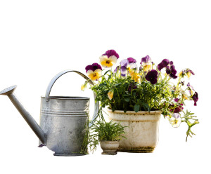 Metal Watering Can Vinyl Car Decal Sticker – Waterproof & UV-Resistant 8"