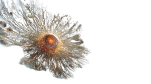 Microscopic Cell Landscape Vinyl Car Decal Sticker – Waterproof & UV-Resistant 8"