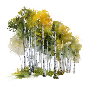 Aspen Grove Vinyl Car Decal Sticker – Waterproof & UV-Resistant 8"