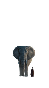 Gentle Giant Elephant Vinyl Car Decal Sticker – Waterproof & UV-Resistant 8" Gentle Giant Elephant Vinyl Car Decal Sticker – Waterproof & UV-Resistant 8"