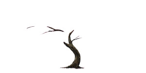 Cherry Blossom Tree V3 Vinyl Car Decal Sticker – Waterproof & UV-Resistant 8"