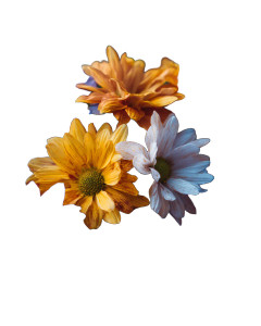 Colorful Flowers Vinyl Car Decal Sticker – Waterproof & UV-Resistant 8" Colorful Flowers Vinyl Car Decal Sticker – Waterproof & UV-Resistant 8"