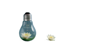 Water-Filled Light Bulb Vinyl Car Decal Sticker – Waterproof & UV-Resistant 8"