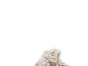 Wooden Table V2 Vinyl Car Decal Sticker – Waterproof & UV-Resistant 8"