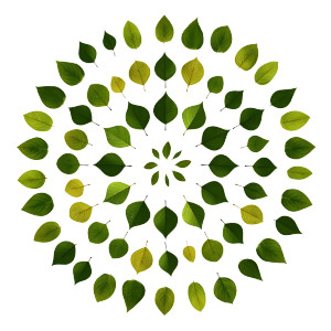 Radial Green Leaves Vinyl Car Decal Sticker – Waterproof & UV-Resistant 8"