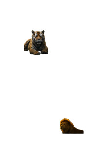 India'S Wildlife Warriors Vinyl Car Decal Sticker – Waterproof & UV-Resistant 8"