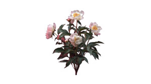 Peony Bouquet Vinyl Car Decal Sticker – Waterproof & UV-Resistant 8" Peony Bouquet Vinyl Car Decal Sticker – Waterproof & UV-Resistant 8"