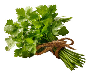 Parsley Bunch Vinyl Car Decal Sticker – Waterproof & UV-Resistant 8"