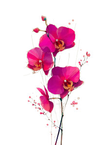 Minimalist Orchid Drawing Vinyl Car Decal Sticker – Waterproof & UV-Resistant 8" Minimalist Orchid Drawing Vinyl Car Decal Sticker – Waterproof & UV-Resistant 8"