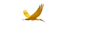 Magical Yellow Crane Vinyl Car Decal Sticker – Waterproof & UV-Resistant 8"