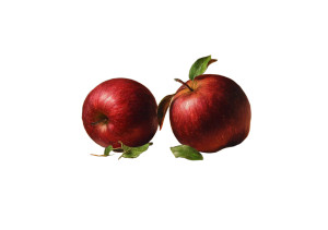 Red Apples Still Life Vinyl Car Decal Sticker – Waterproof & UV-Resistant 8"