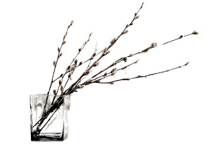 Willow Branches Vase Vinyl Car Decal Sticker – Waterproof & UV-Resistant 8"