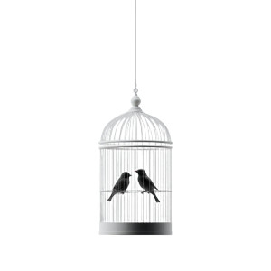 Caged Birds Vinyl Car Decal Sticker – Waterproof & UV-Resistant 8" Caged Birds Vinyl Car Decal Sticker – Waterproof & UV-Resistant 8"