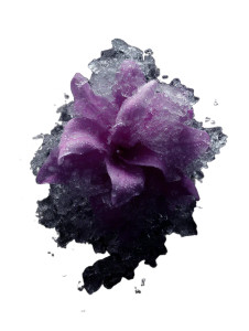 Icy Purple Flower Vinyl Car Decal Sticker – Waterproof & UV-Resistant 8"