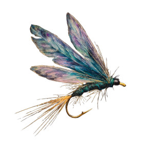 Fly Fishing Fly Vinyl Car Decal Sticker – Waterproof & UV-Resistant 8" Fly Fishing Fly Vinyl Car Decal Sticker – Waterproof & UV-Resistant 8"