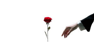 Red Rose Gesture Vinyl Car Decal Sticker – Waterproof & UV-Resistant 8"