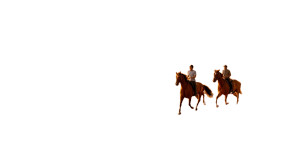 Horses At Sunset Vinyl Car Decal Sticker – Waterproof & UV-Resistant 8" Horses At Sunset Vinyl Car Decal Sticker – Waterproof & UV-Resistant 8"