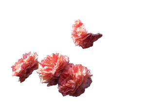 Damask Rose Vinyl Car Decal Sticker – Waterproof & UV-Resistant 8"