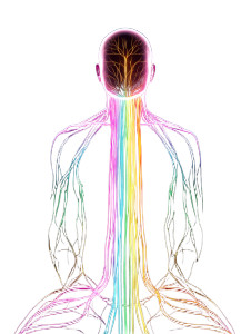 Levitating Human Outline Vinyl Car Decal Sticker – Waterproof & UV-Resistant 8"