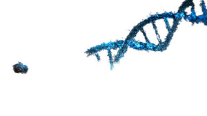 Blue Hand Dna Vinyl Car Decal Sticker – Waterproof & UV-Resistant 8"